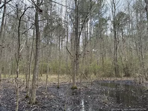 3150 Topisaw Dr, Ruth, MS 39662 photo 14
