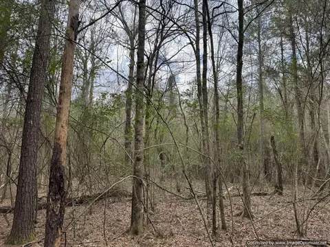 3150 Topisaw Dr, Ruth, MS 39662 photo 9