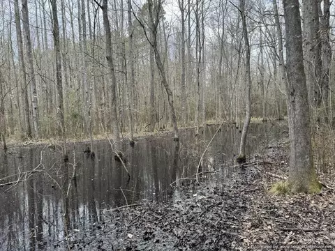 3150 Topisaw Dr, Ruth, MS 39662 photo 13