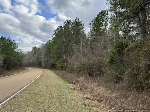 3150 Topisaw Dr, Ruth, MS 39662