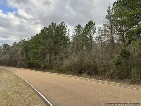 3150 Topisaw Dr, Ruth, MS 39662 photo 17