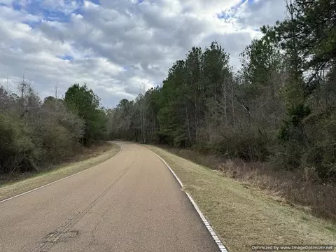 3150 Topisaw Dr, Ruth, MS 39662 photo 6