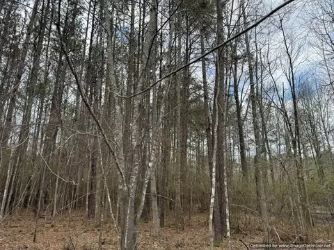 3150 Topisaw Dr, Ruth, MS 39662 photo 15