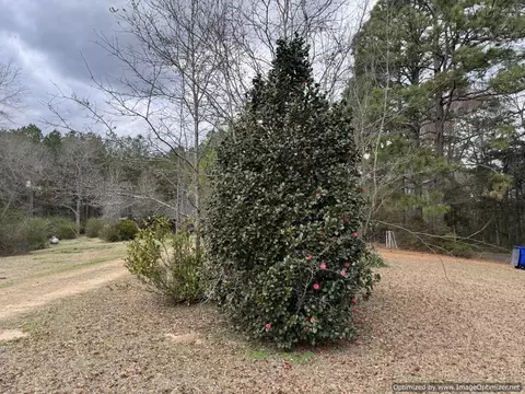 3150 Topisaw Dr, Ruth, MS 39662 photo 21