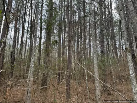 3150 Topisaw Dr, Ruth, MS 39662 photo 7