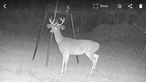 tbd John I Hay Rd, Wesson, MS 39191 photo 46