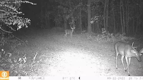 tbd John I Hay Rd, Wesson, MS 39191 photo 44