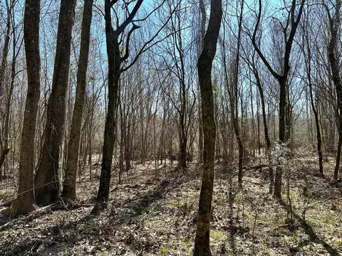 tbd John I Hay Rd, Wesson, MS 39191 photo 16