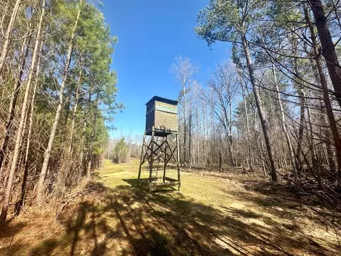 tbd John I Hay Rd, Wesson, MS 39191 photo 8