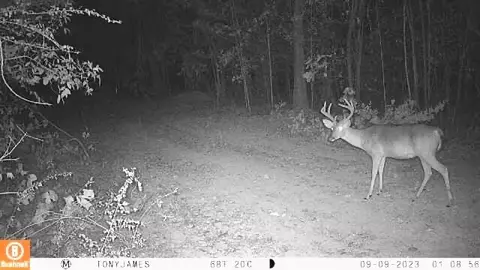tbd John I Hay Rd, Wesson, MS 39191 photo 43