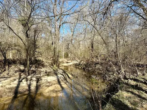 tbd John I Hay Rd, Wesson, MS 39191 photo 30