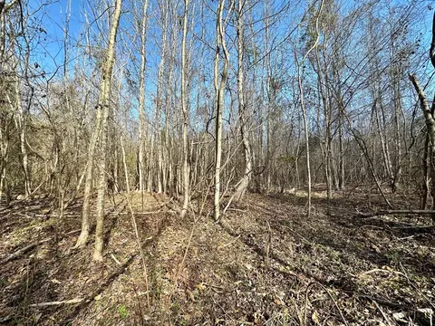 tbd John I Hay Rd, Wesson, MS 39191 photo 28