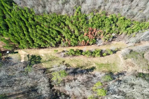 tbd John I Hay Rd, Wesson, MS 39191 photo 10