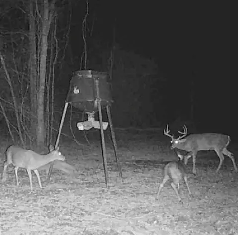tbd John I Hay Rd, Wesson, MS 39191 photo 49