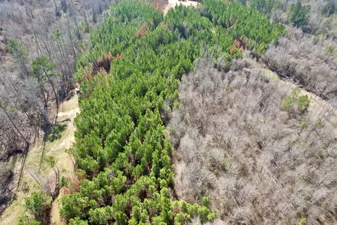 tbd John I Hay Rd, Wesson, MS 39191 photo 26