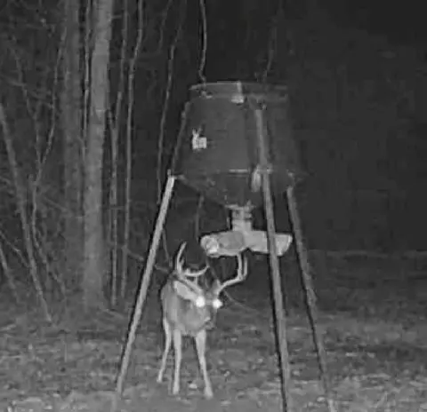 tbd John I Hay Rd, Wesson, MS 39191 photo 47