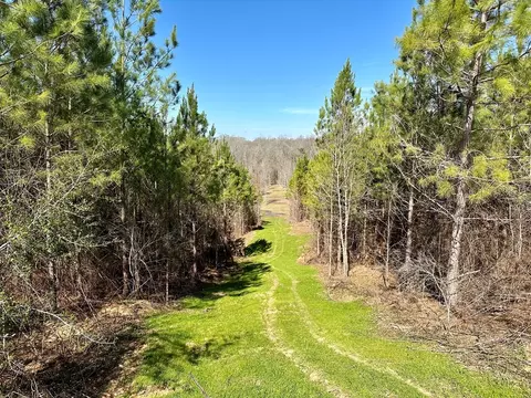 tbd John I Hay Rd, Wesson, MS 39191 photo 4