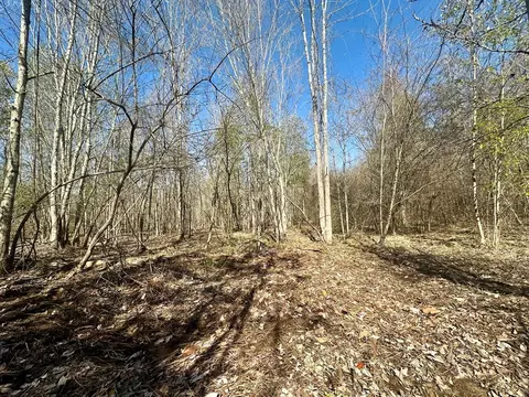 tbd John I Hay Rd, Wesson, MS 39191 photo 31
