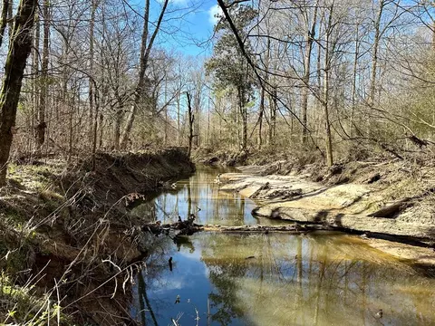 tbd John I Hay Rd, Wesson, MS 39191 photo 29