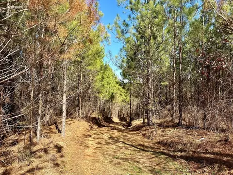 tbd John I Hay Rd, Wesson, MS 39191 photo 6