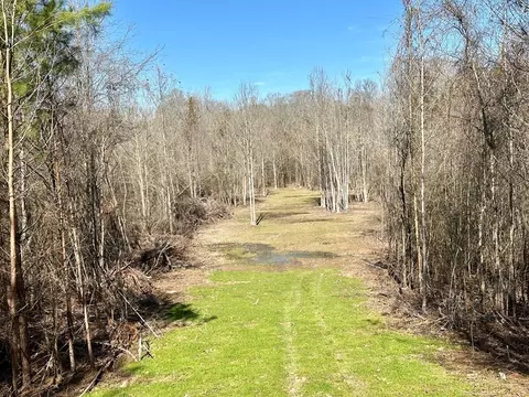 tbd John I Hay Rd, Wesson, MS 39191 photo 27