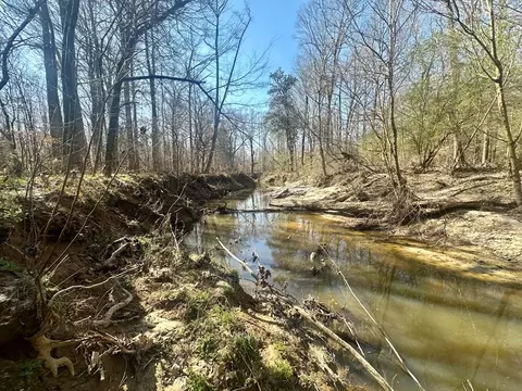 tbd John I Hay Rd, Wesson, MS 39191 photo 18