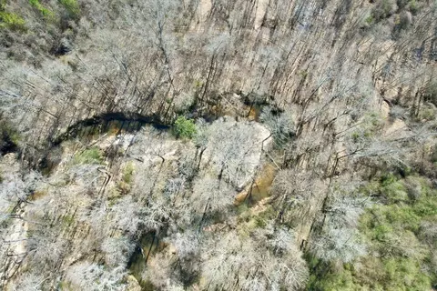 tbd John I Hay Rd, Wesson, MS 39191 photo 17