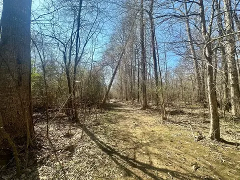tbd John I Hay Rd, Wesson, MS 39191 photo 21