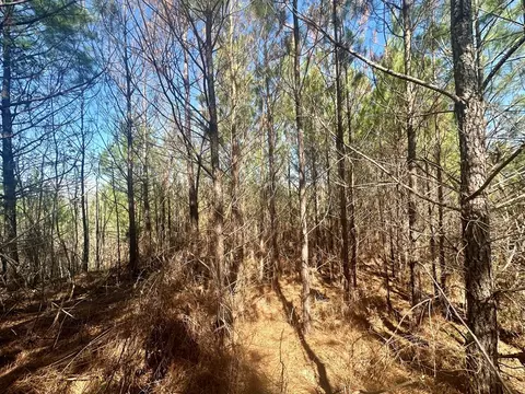 tbd John I Hay Rd, Wesson, MS 39191 photo 7