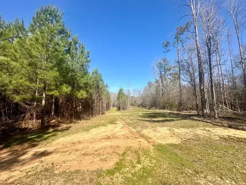 tbd John I Hay Rd, Wesson, MS 39191 photo 9