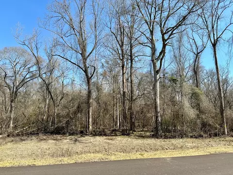 tbd John I Hay Rd, Wesson, MS 39191 photo 34