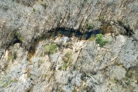 tbd John I Hay Rd, Wesson, MS 39191 photo 19