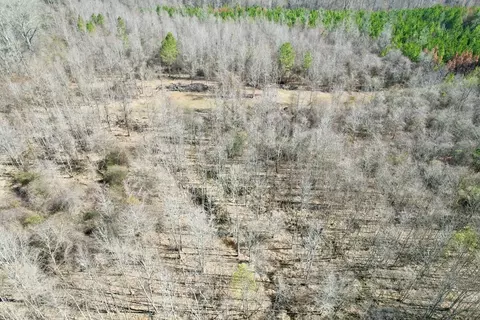 tbd John I Hay Rd, Wesson, MS 39191 photo 35