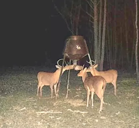 tbd John I Hay Rd, Wesson, MS 39191 photo 52
