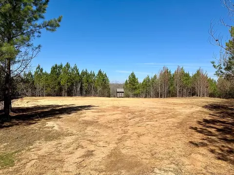 tbd John I Hay Rd, Wesson, MS 39191 photo 3