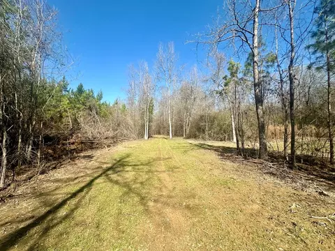 tbd John I Hay Rd, Wesson, MS 39191 photo 11