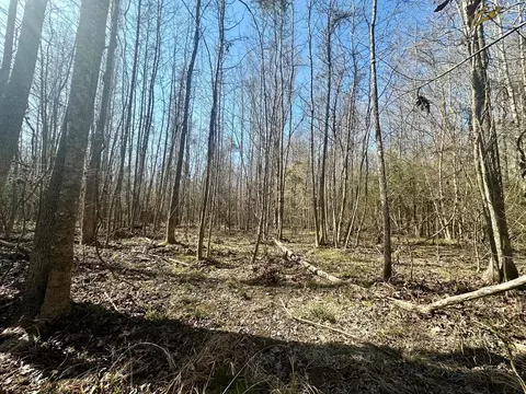 tbd John I Hay Rd, Wesson, MS 39191 photo 22
