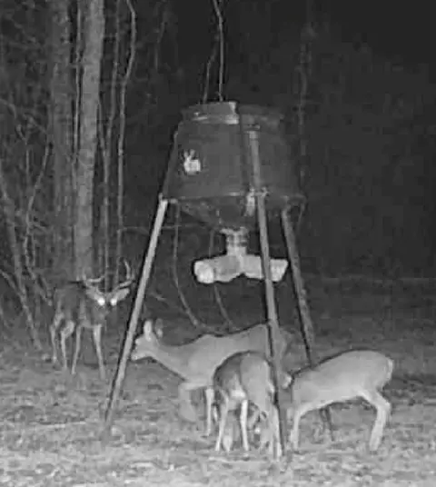 tbd John I Hay Rd, Wesson, MS 39191 photo 48