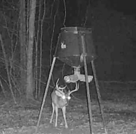 tbd John I Hay Rd, Wesson, MS 39191 photo 51