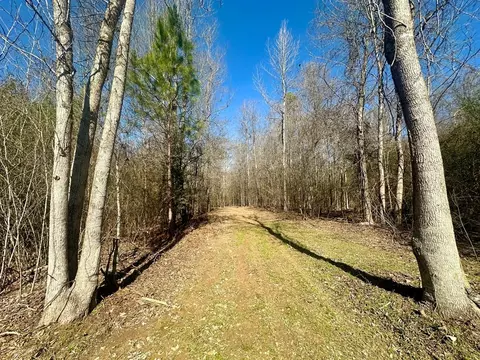 tbd John I Hay Rd, Wesson, MS 39191 photo 12