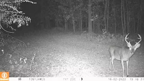 tbd John I Hay Rd, Wesson, MS 39191 photo 45