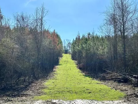 tbd John I Hay Rd, Wesson, MS 39191 photo 25