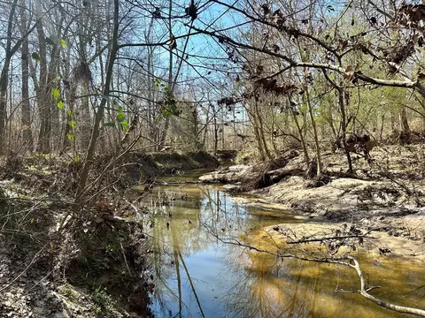 tbd John I Hay Rd, Wesson, MS 39191 photo 14