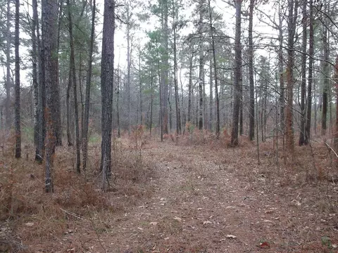 104 Homochitto National Forre St, Meadville, MS 39653