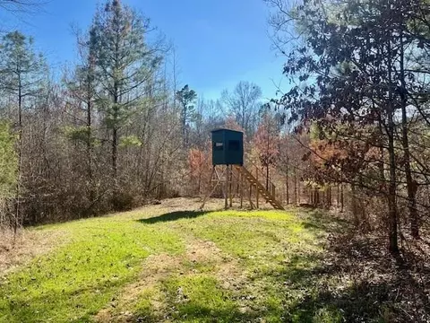 12584 Red Lick Rd, Lorman, MS 39096