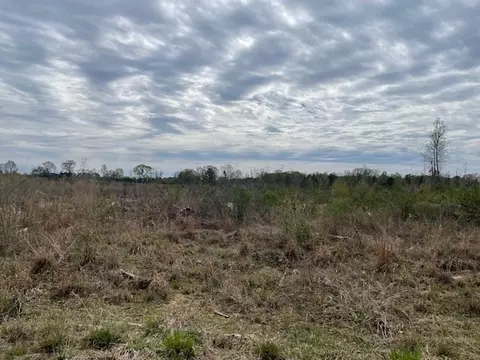 000 Thomas Grove Rd, Magnolia, MS 39652 photo 4