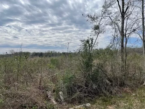 000 Thomas Grove Rd, Magnolia, MS 39652 photo 3