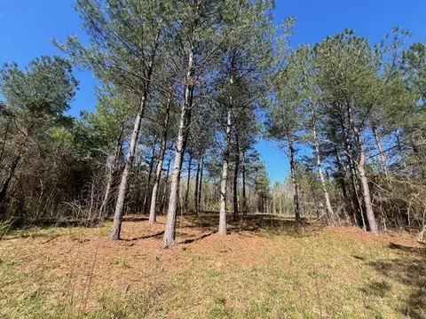 tbd Dee Toney Rd, Tylertown, MS 39667
