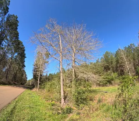 tbd Pleasant Hill Dr SE, Bogue Chitto, MS 39629