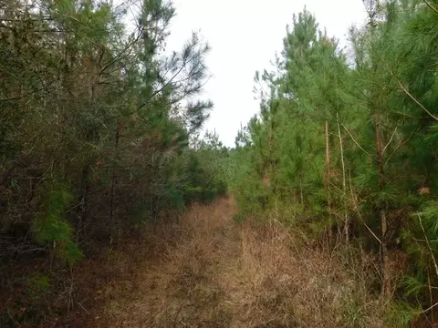 3711 Corman Oneal, Gloster, MS 39638 photo 13